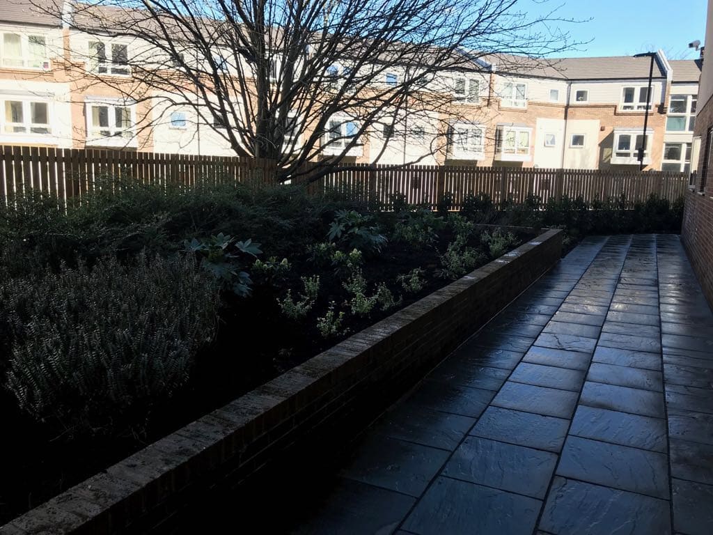 Barker House Student Newcastle at Evelyn Gentle blog