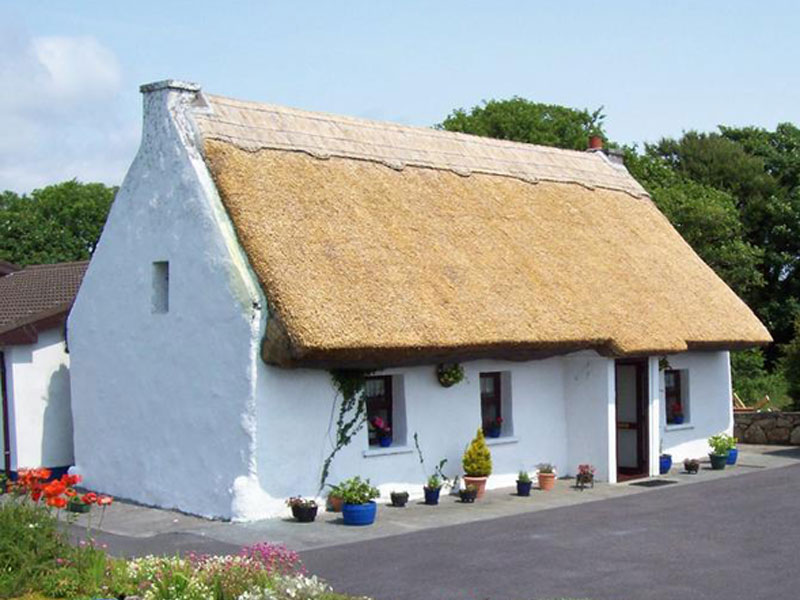 Thatch Suppliers Company Ireland & UK Quality Reed Bundles