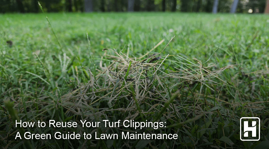 How to Reuse Your Turf Clippings A Green Guide to Lawn Maintenance