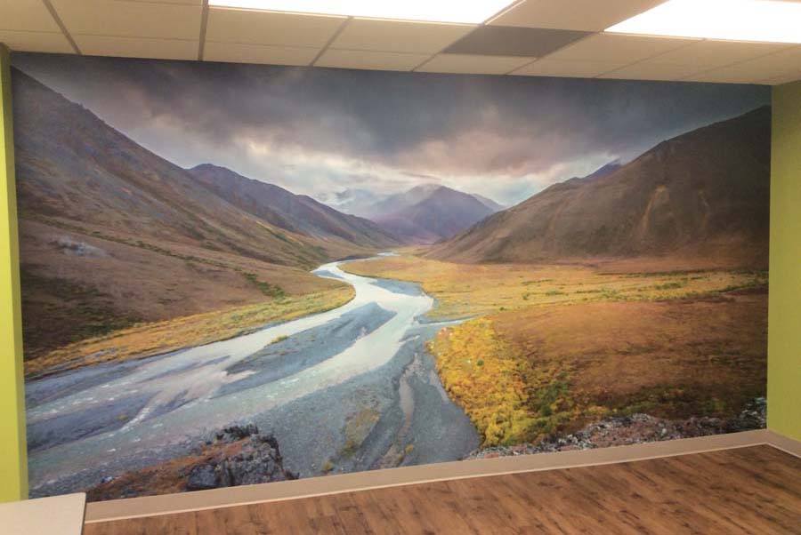 Wall Murals DC Wall Wraps & More