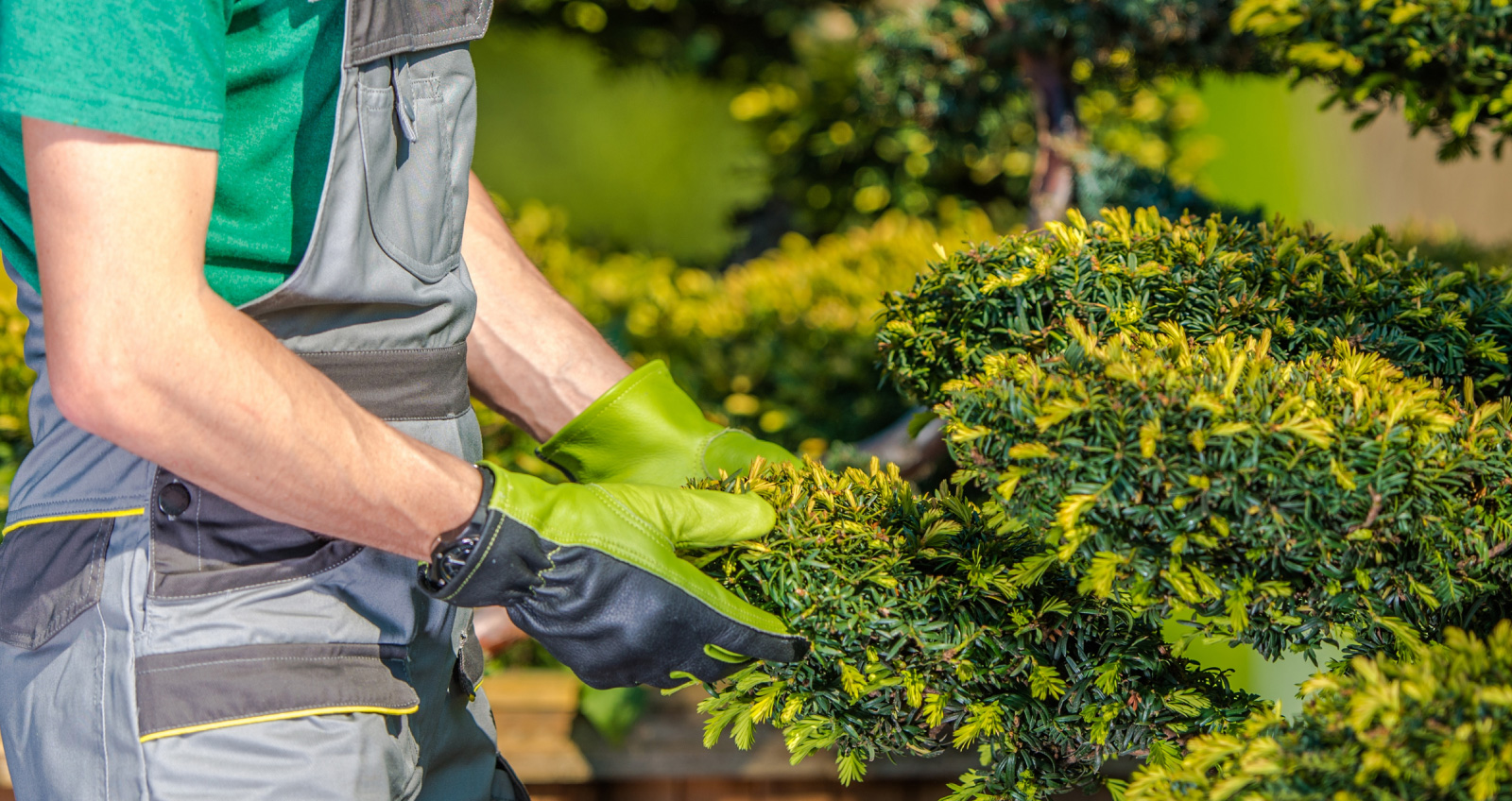 Home Hernandez Landscaping