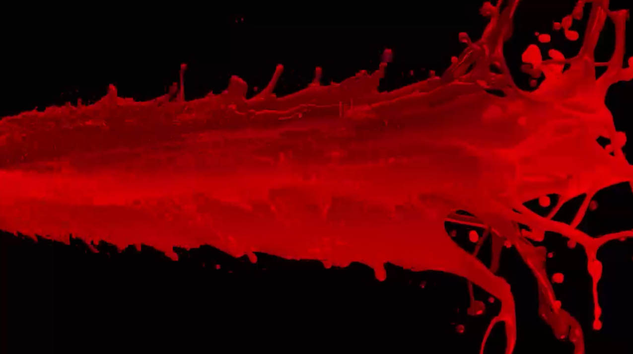 Pepper Spray vs Pepper Gel Which is Best for SelfDefense?