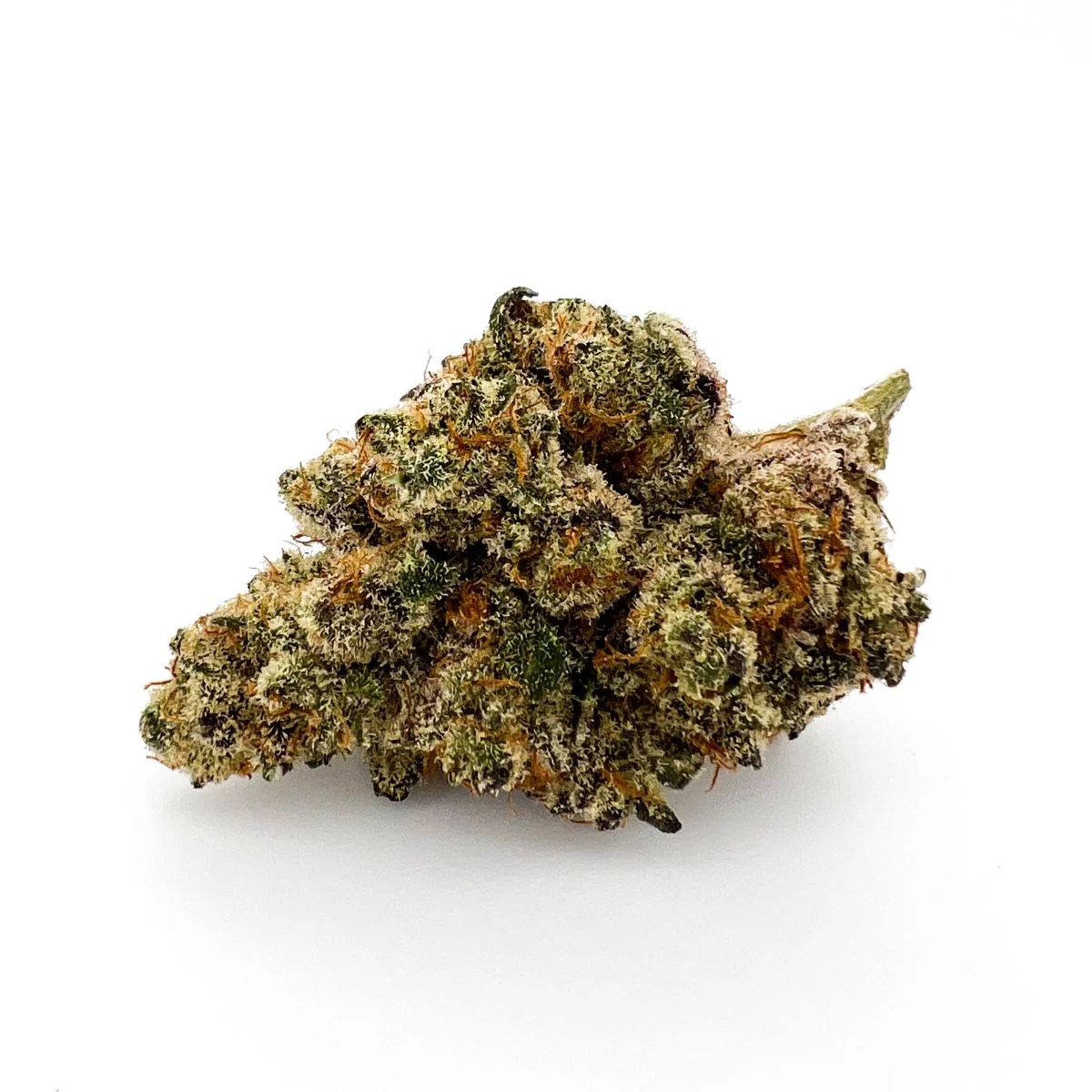 Peach en Regalia Hero Dispatch