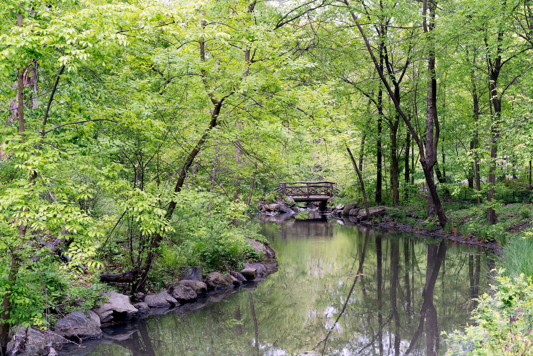 The Ravine Heroes Of Adventure