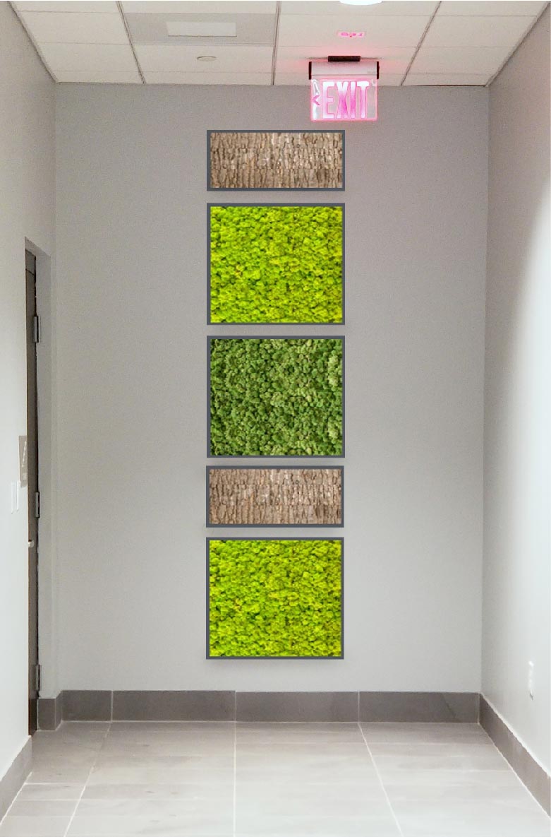 Finnish Caribou Moss Walls in Pensacola Heroman Services Plant Company