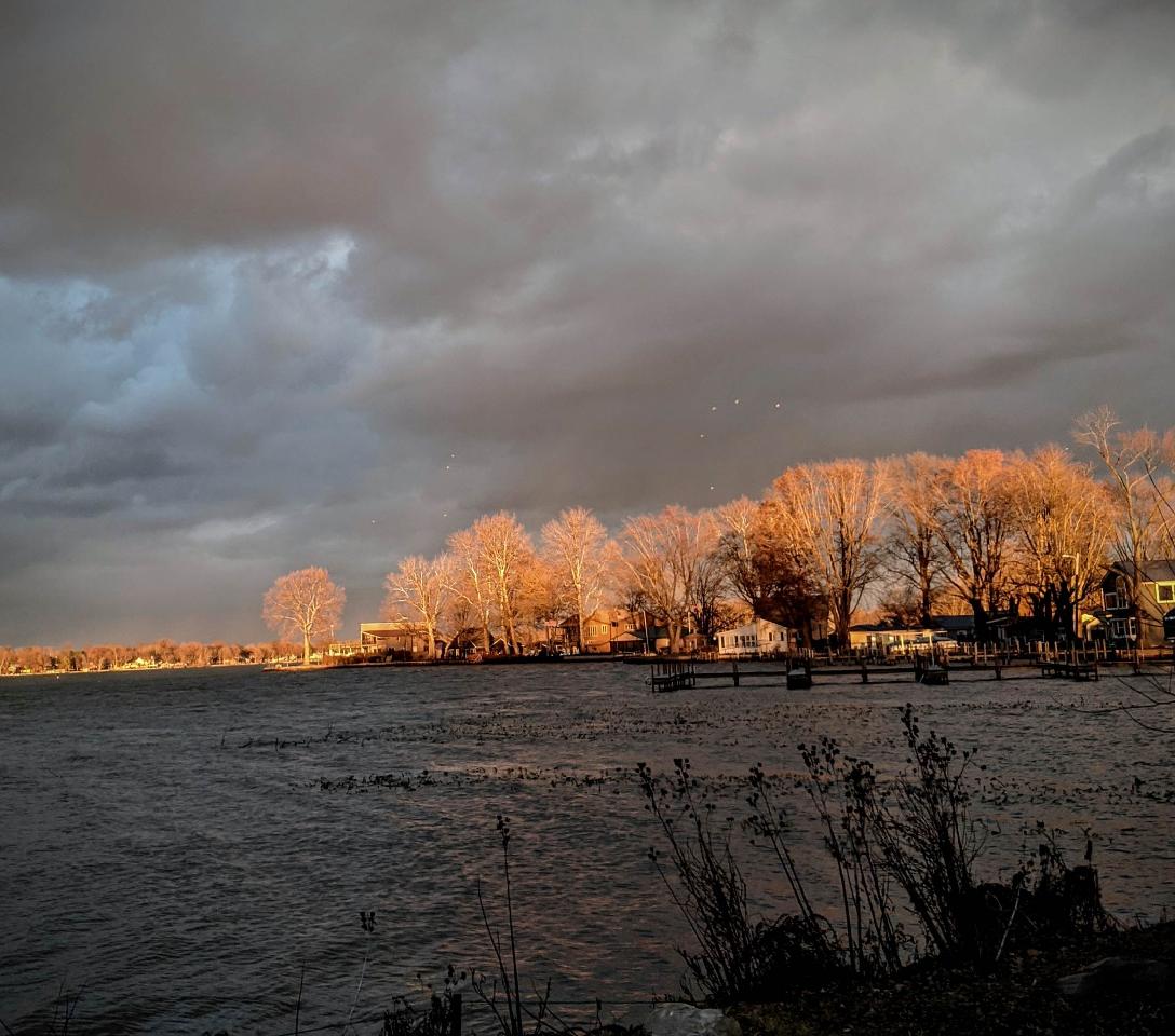 Gallery Heron Bay HOA