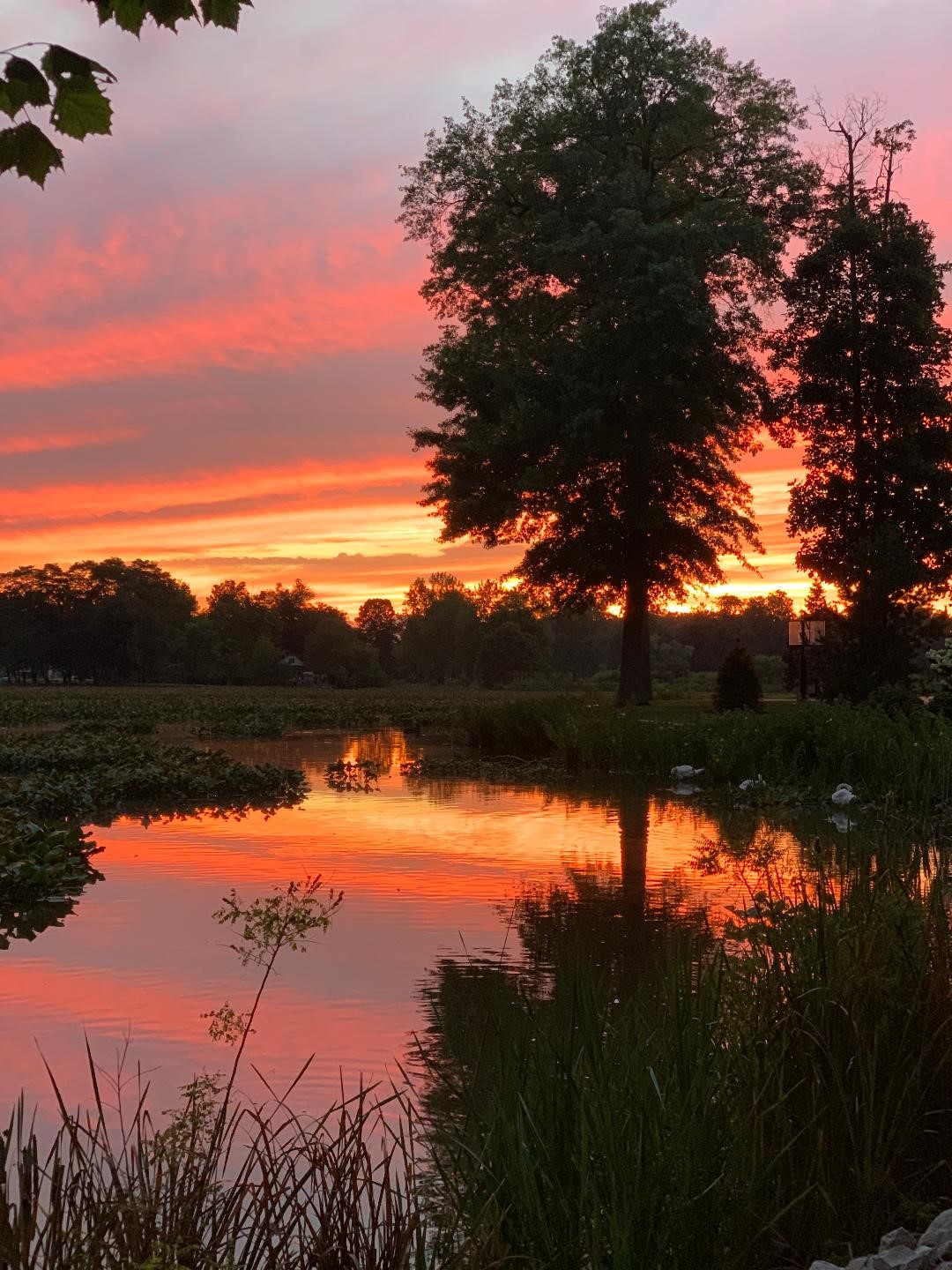 Gallery Heron Bay HOA