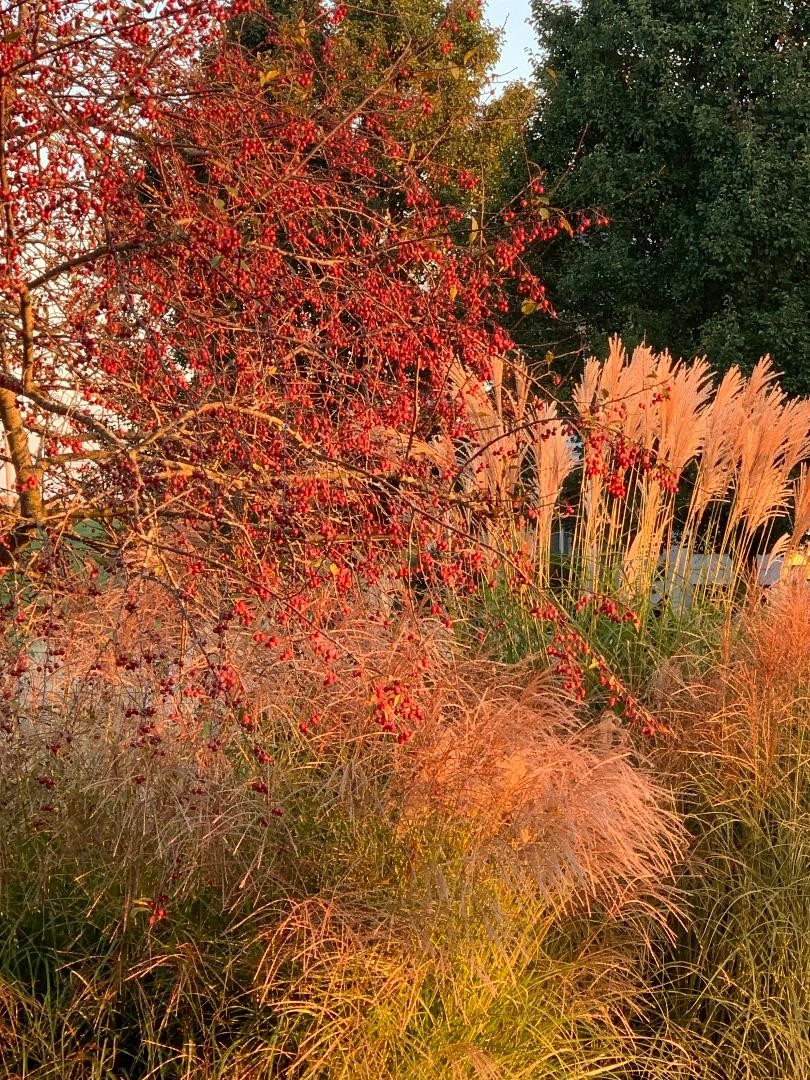 Gallery Heron Bay HOA