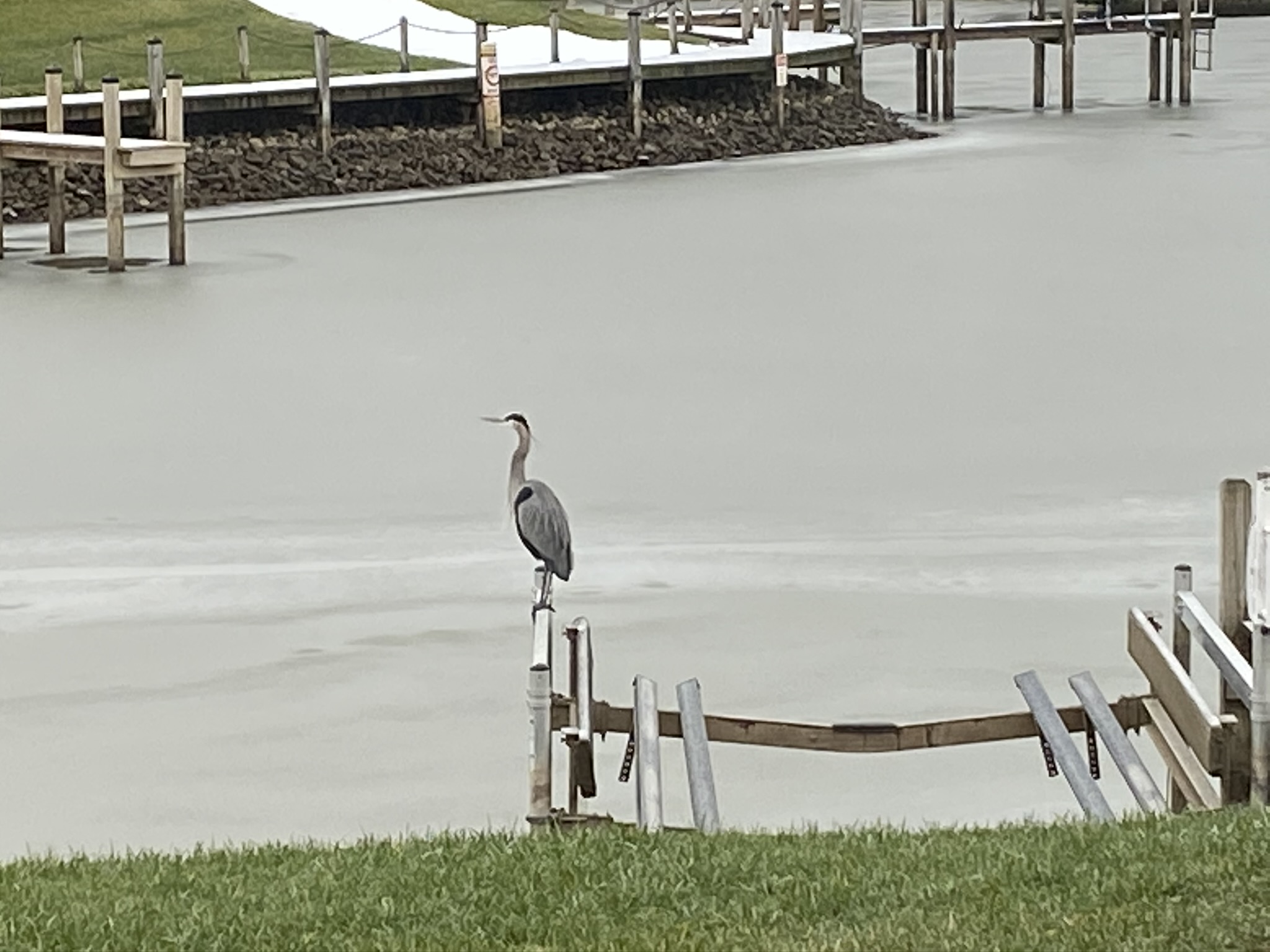 Gallery Heron Bay HOA