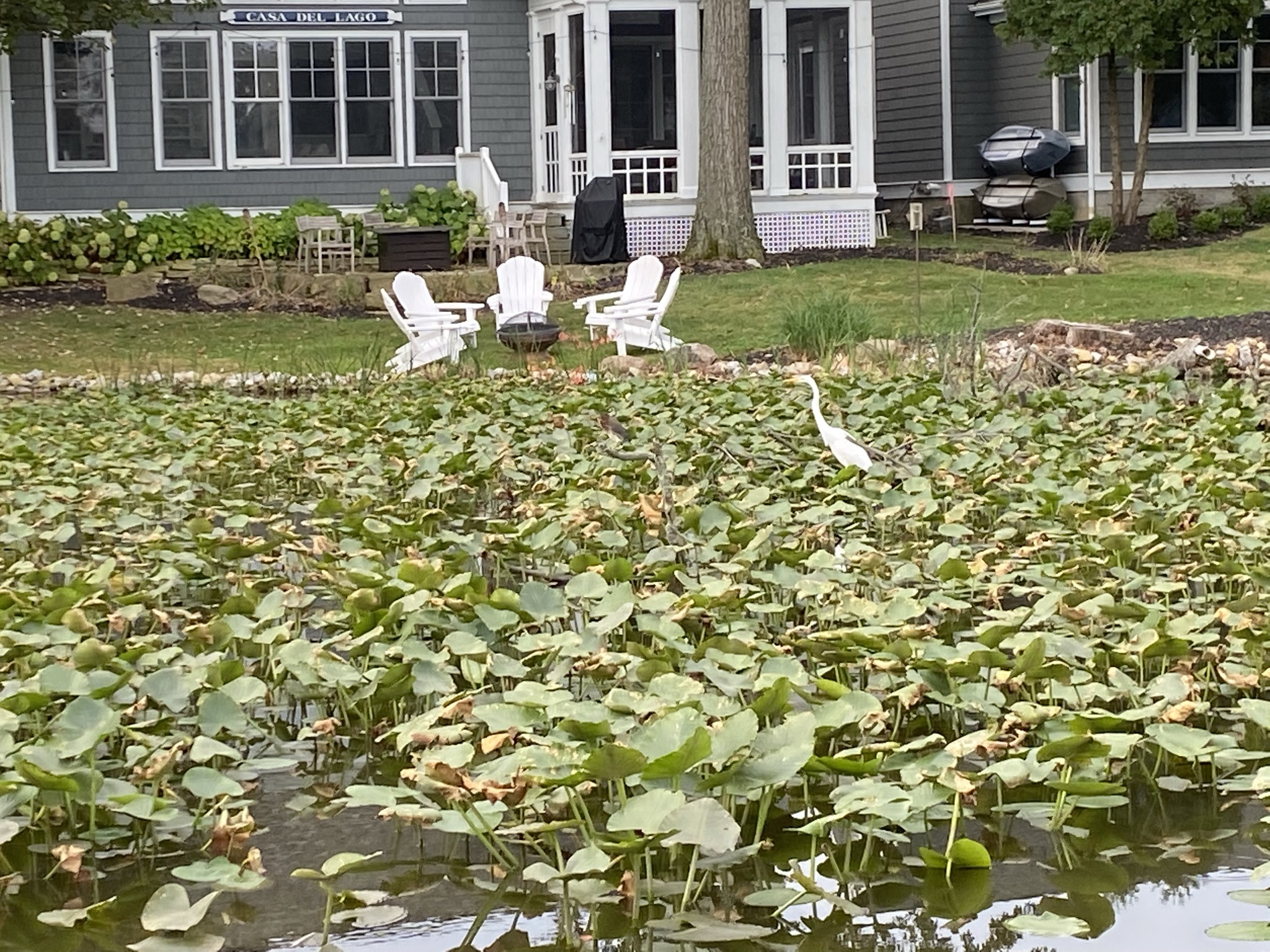 Gallery Heron Bay HOA