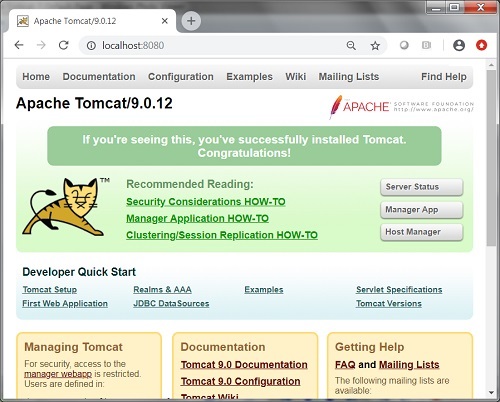 Verifying Tomcat Server