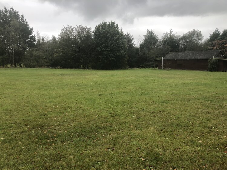 Shepherds Field (Silver) Herons Wey