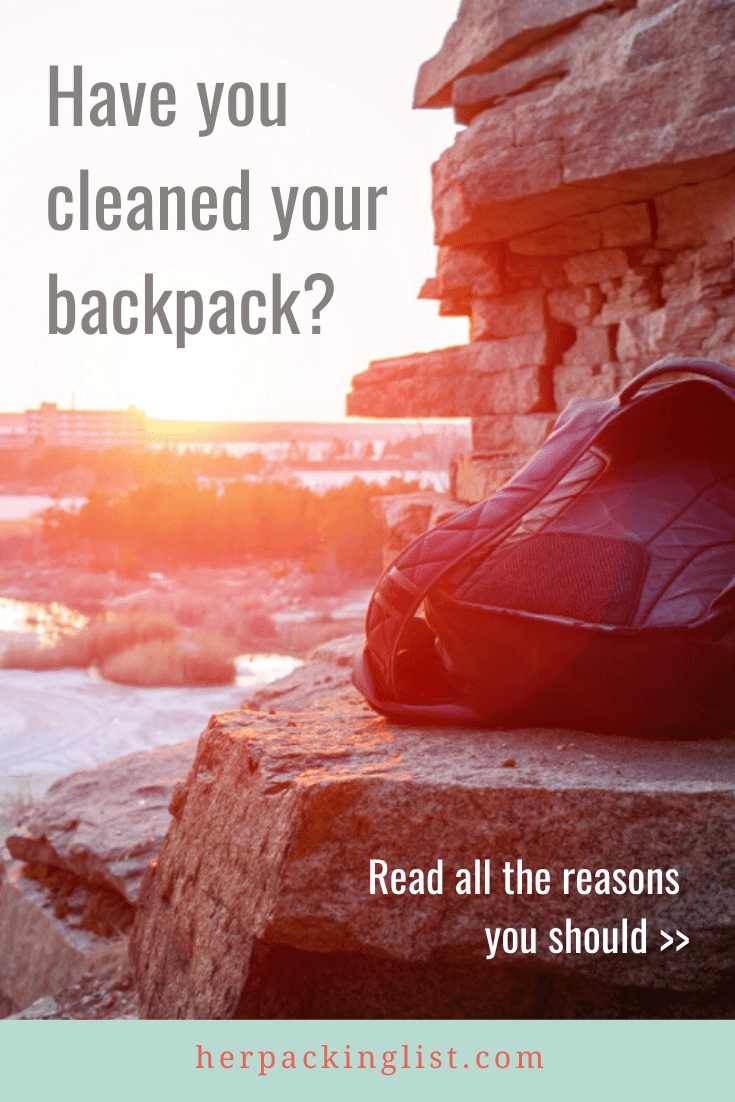 Why You Should Clean Your Luggage After a Trip LaptrinhX / News