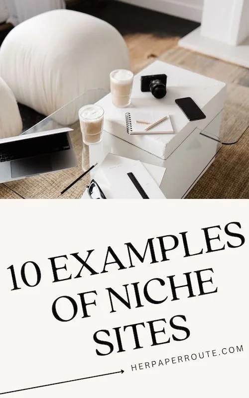 What Is A Niche Site? 10 Examples