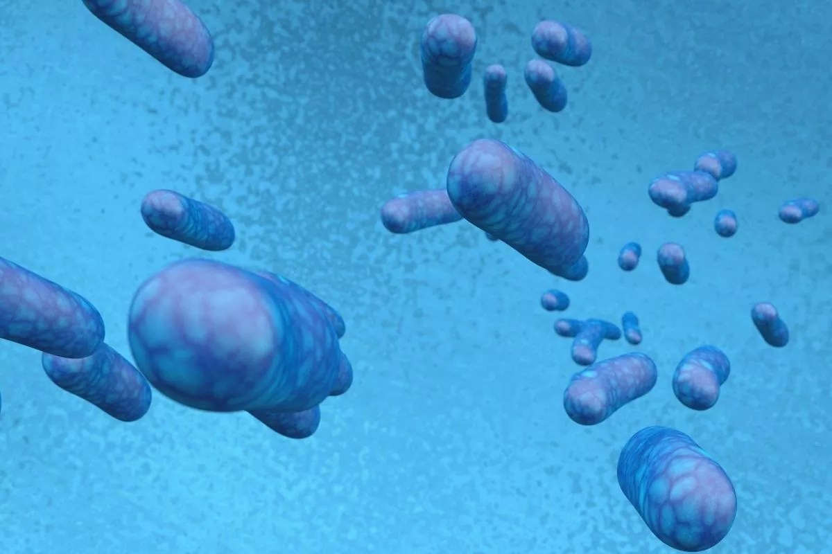 Bacterial vs. Viral Infection The Key Differences Herpezine