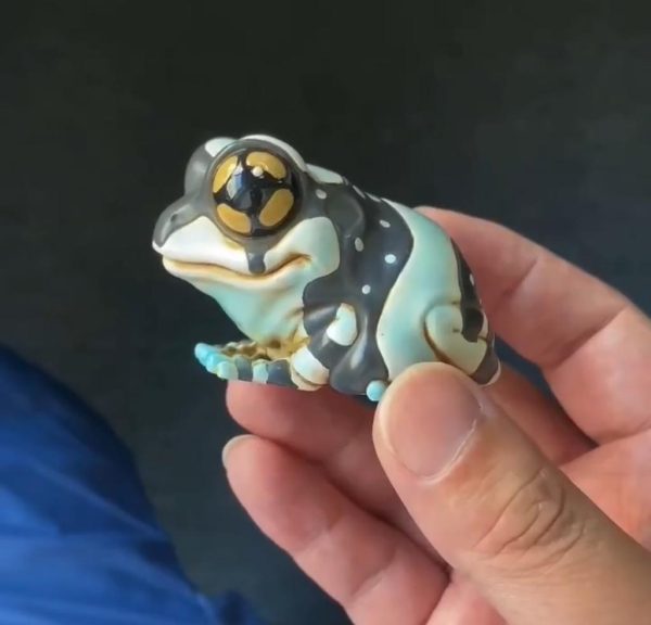 The Amazonian milk frog Herping.es