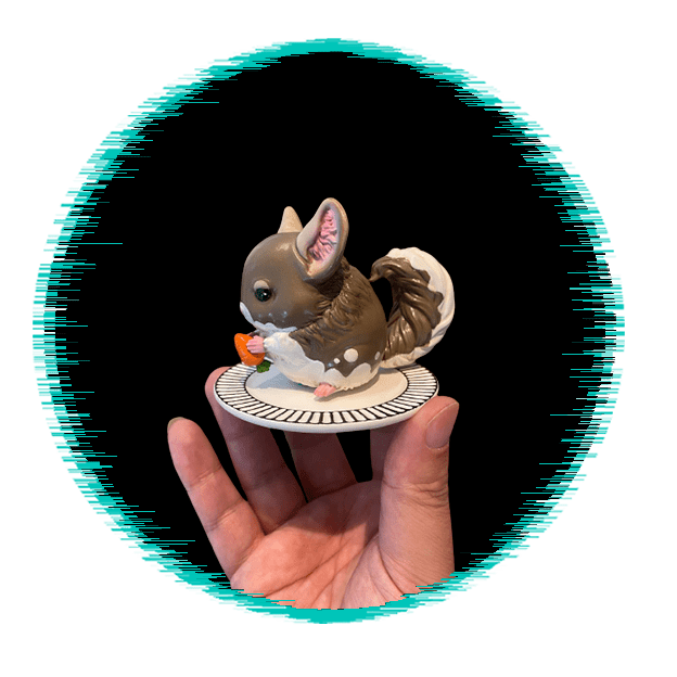 Chinchilla lanigeta Herping.es