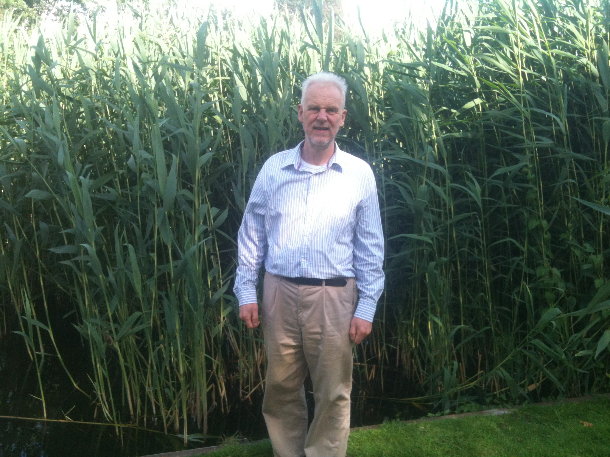 Treating Grey Water from a busy restaurant in Ireland using a Herr Reed