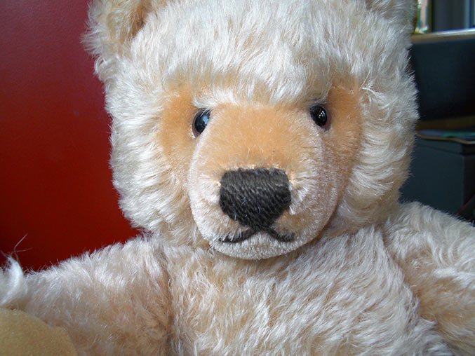 Zwei Steiff Maskenbären mit Knopf und Larousse Herr Bär