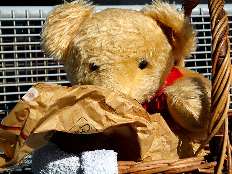 Perikles Steiff fährt auf die Königin der Berge Herr Bär