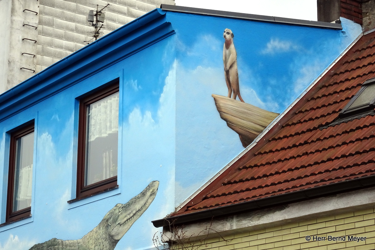 *Lucky Walls am Hulsberg Herr Bernd Meyer