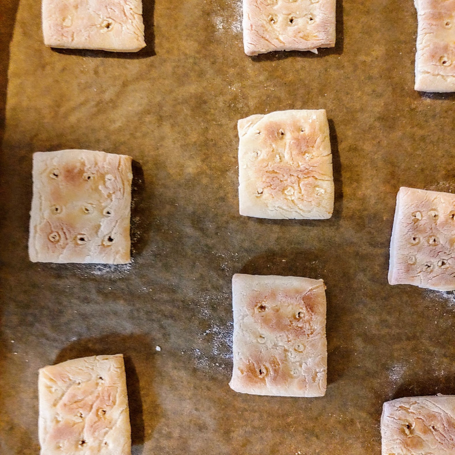 Hardtack Recipe With Honey Bryont Blog