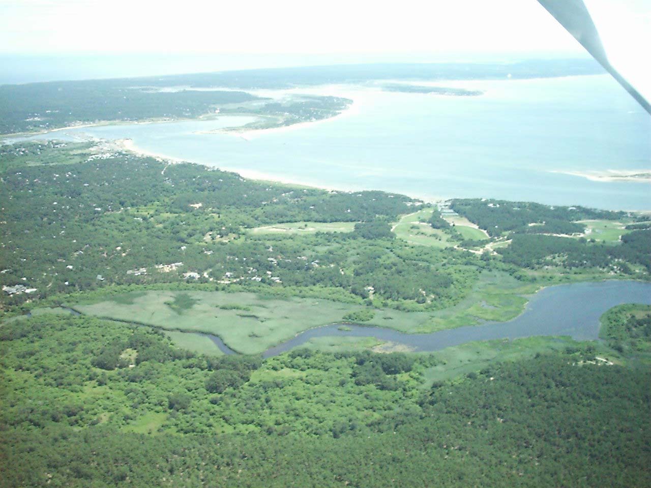 Estuary Photo Gallery Friends of Herring River