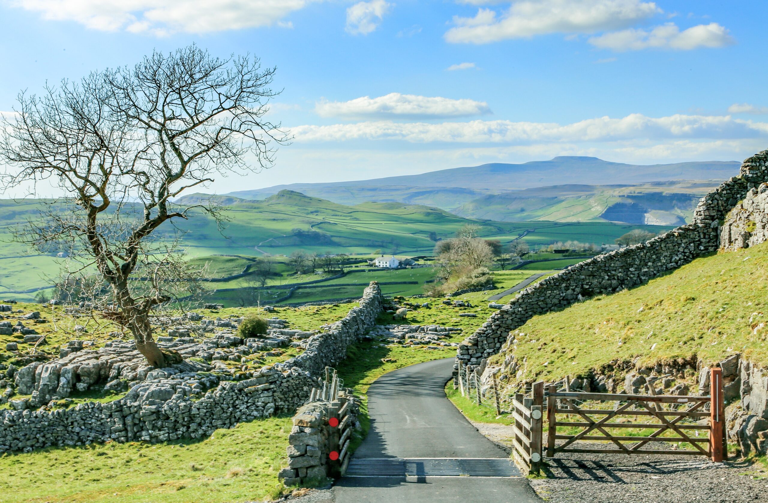 Experience Herriot Country Tourism Group