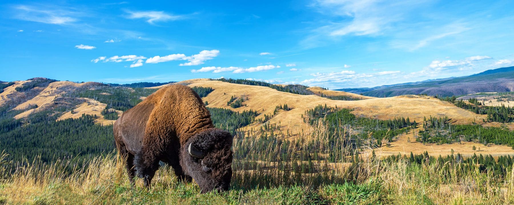 Herrmann Insurance Rapid City South Dakota at Insurance