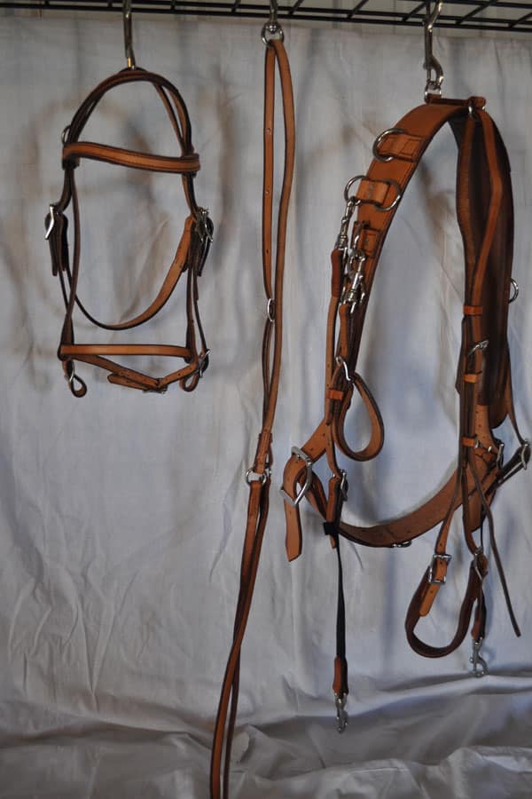 Miniature Bitting Rig Herron's Tack