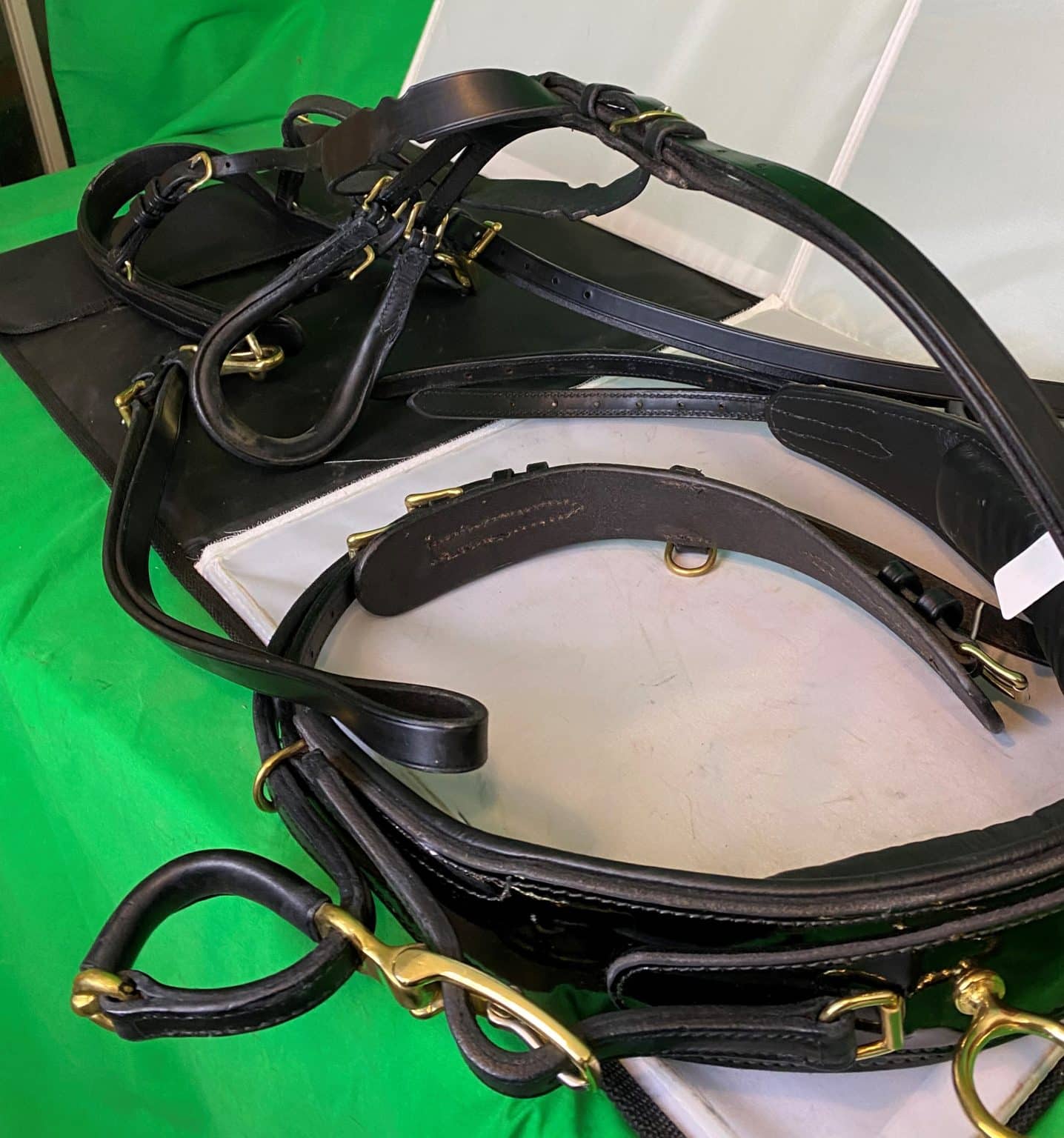 Miniature Carriage Harness Herron's Tack