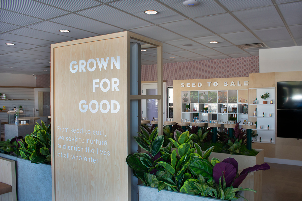 Giving Tree Dispensary