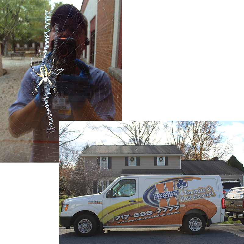 Hershey Pest Control Pest Control Company Hershey Pennsylvania