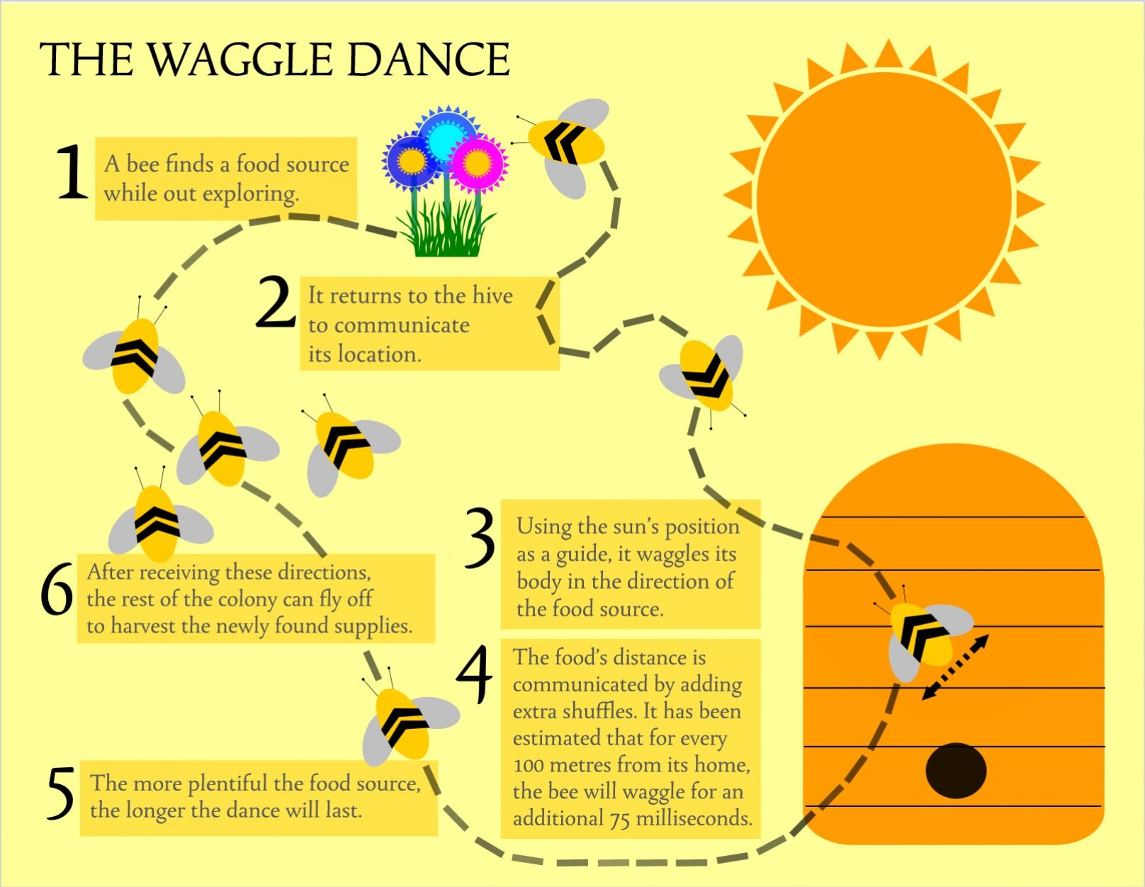 Bees got talent exploring the 'waggle dance'