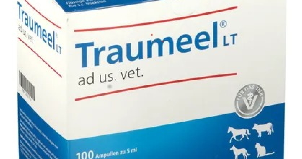 Traumeelfuerkatzen • Herzenskatzen Katzenblog