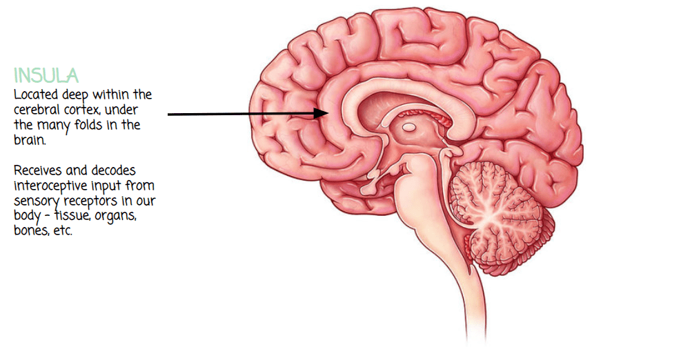 Interoception What It Is, How It Works, & How to Improve Interoception