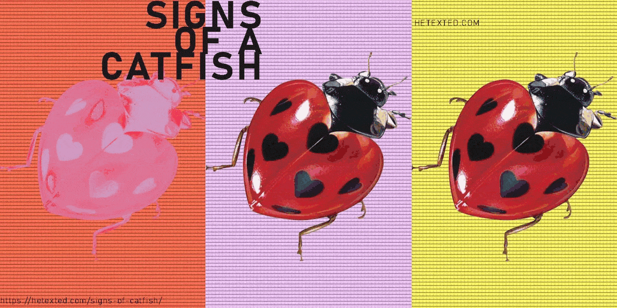 10 mustknow signs of a catfish What to do about it & how to leave HeTexted