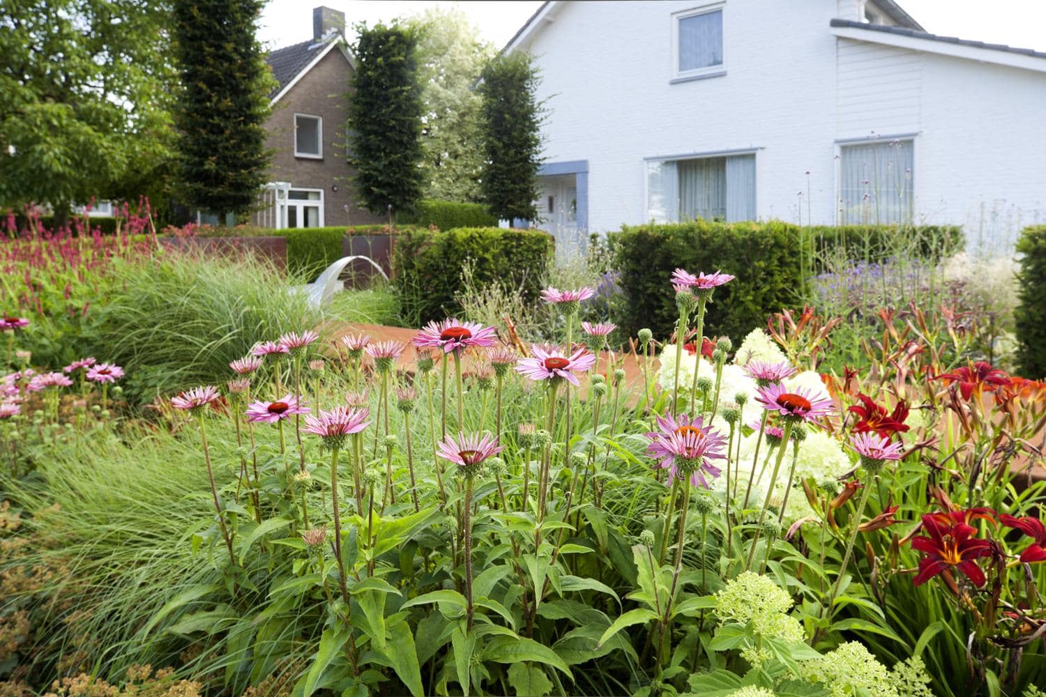 Hoe onderhoud ik een vaste planten border? Het Rullen