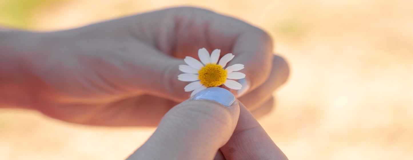 Un Peu Beaucoup Passionnement Tout Pour Etre Heureuse