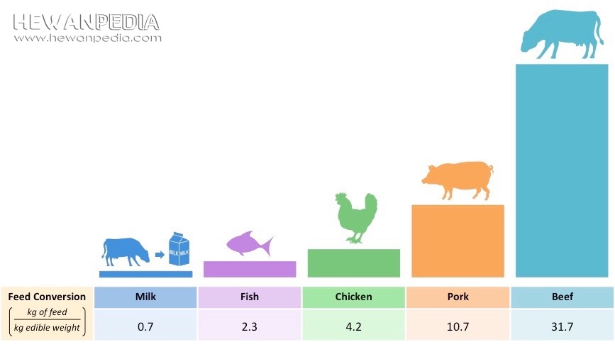 Pengertian dan Cara Menghitung Food Conversion Ratio (FCR) Hewanpedia Pengertian dan Cara Menghitung Food Conversion Ratio (FCR) Hewanpedia