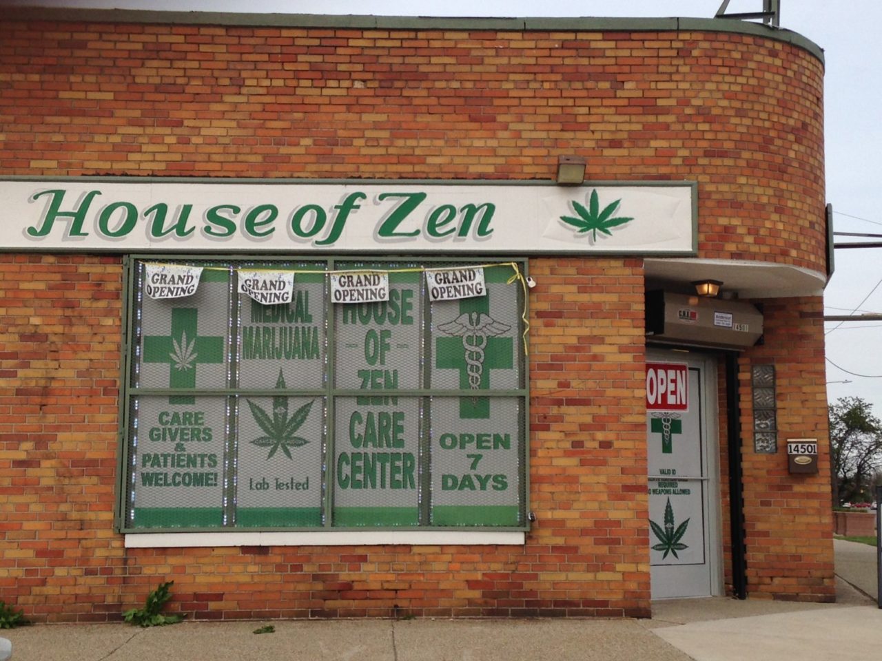 Detroit Web Design Progressive Art Studio Collective