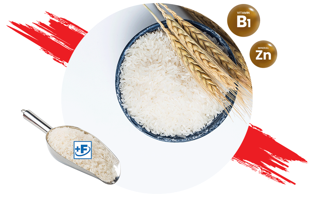 Fortified Rice Kernels Hexagon Nutrition Ltd.
