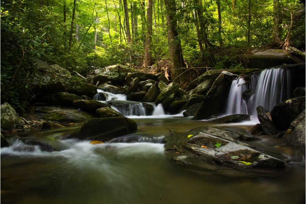 Discovering the Beauty Waterfalls in Blue Ridge GA