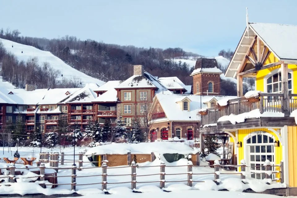 Top 5 Collingwood Vacation RentalsMake Your Getaway Perfect!