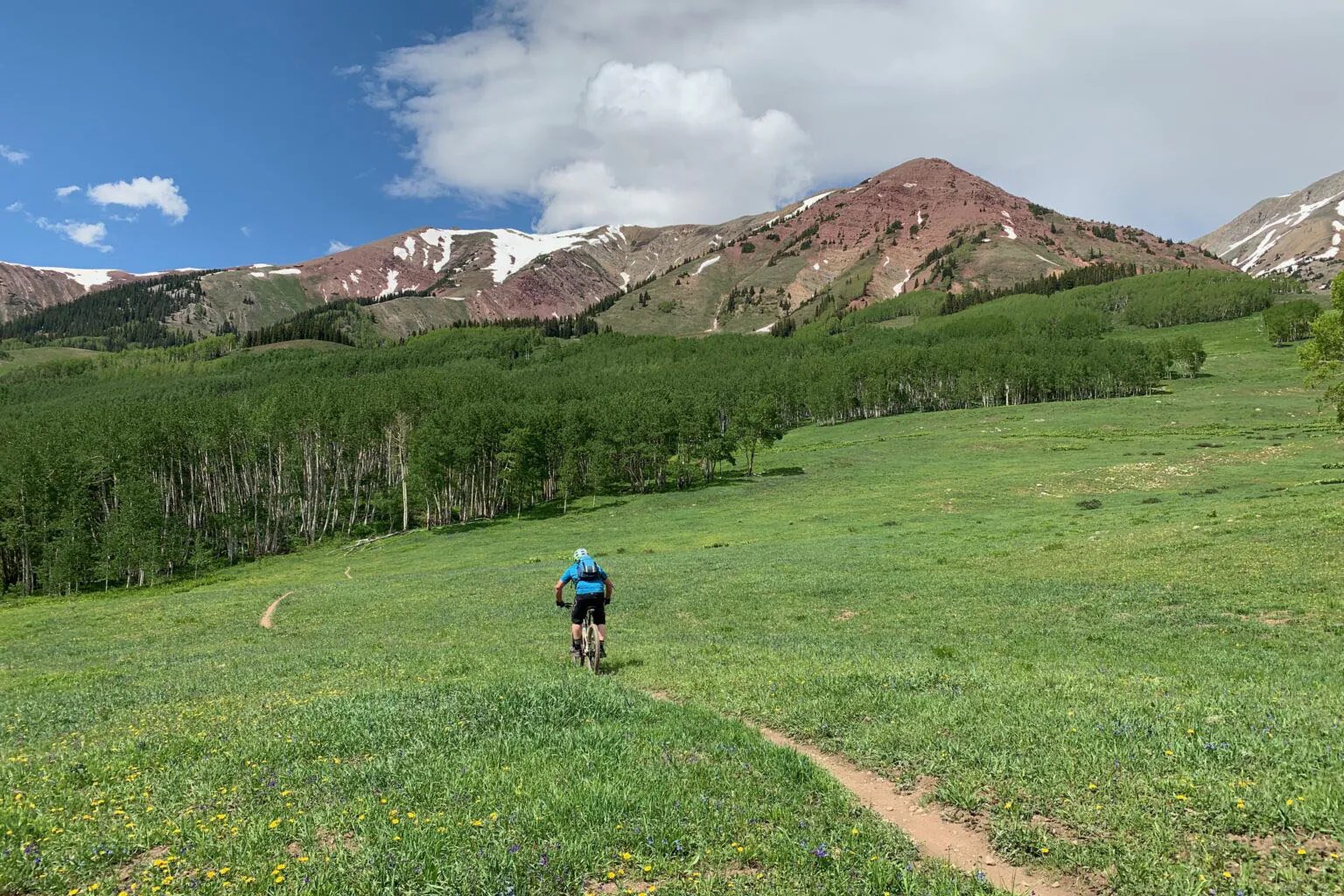 Best Crested Butte Mountain Bike Rentals