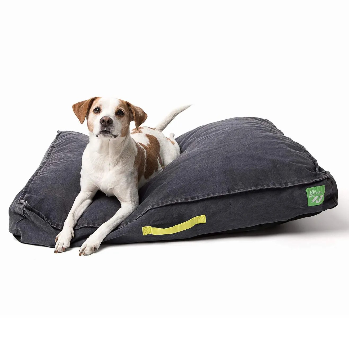 50+ EcoFriendly Products for Dogs (EarthFriendly Buying Guide!) Hey