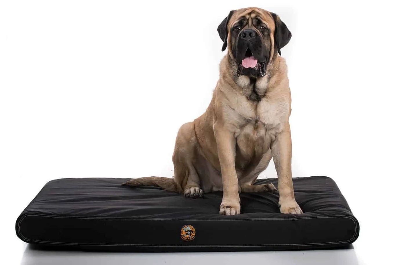 14 Best Tough Dog Beds for Chewers (With Guarantees!) Hey, Djangles.
