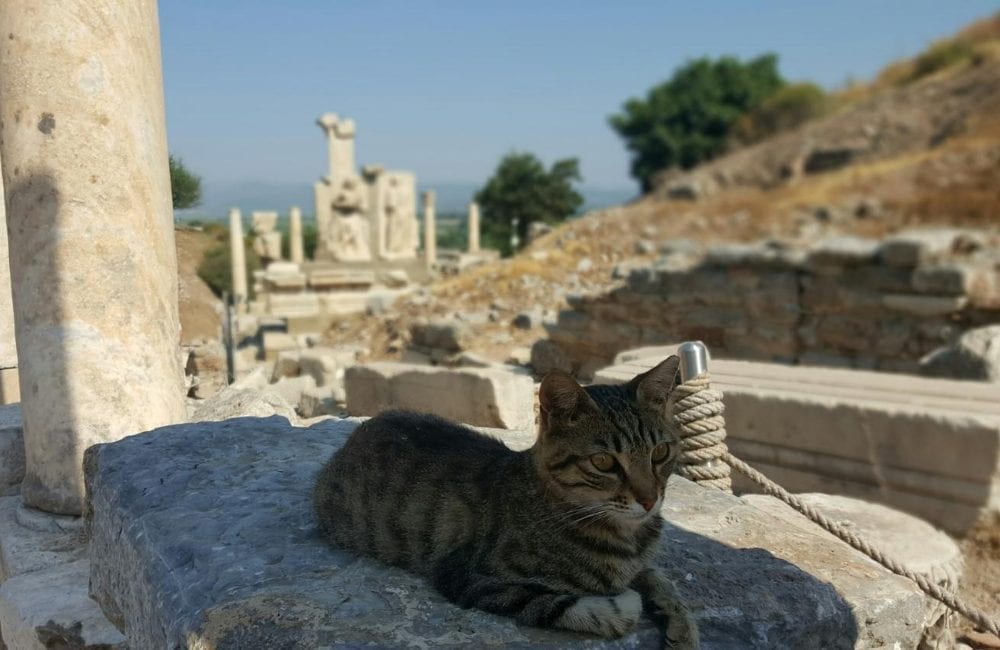 24 Things Turkey is Known and Famous For