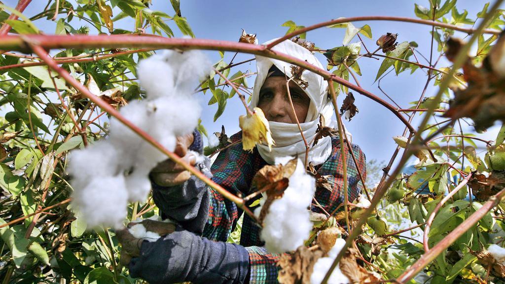 16 Things That Egypt is Famous For