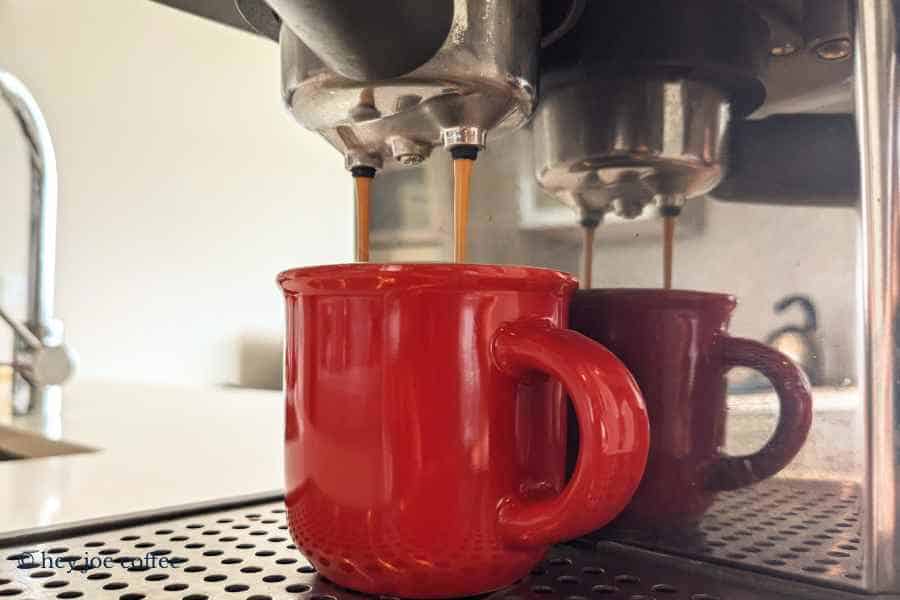 Starbucks Skinny Vanilla Latte (Recipe With Photos)